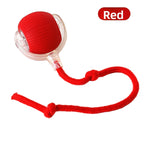 Automatic Self Interactive Ball