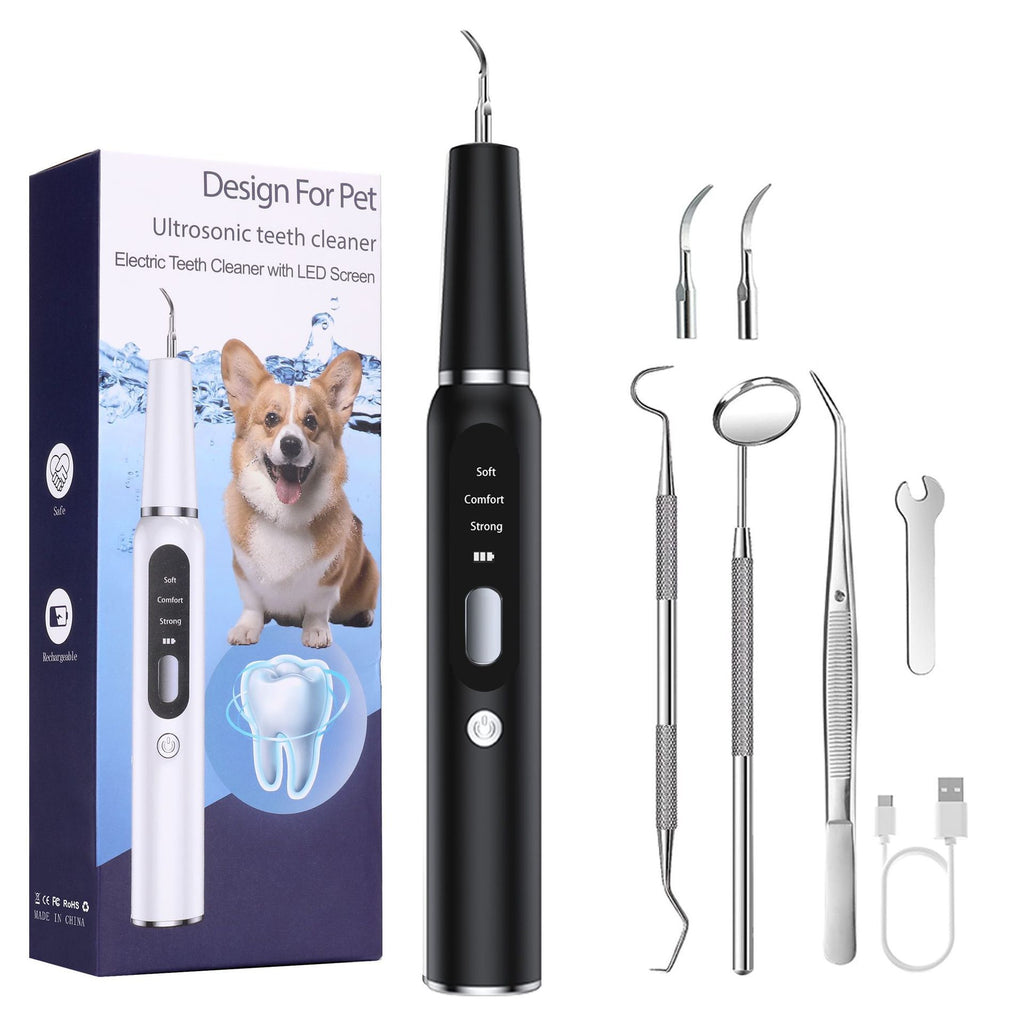 Ultrasonic Dental Kit